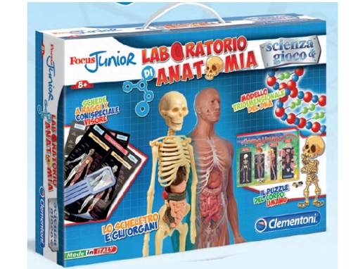 Immagine di SCIENZA E GIOCO LABORATORIO DI ANATOMIA